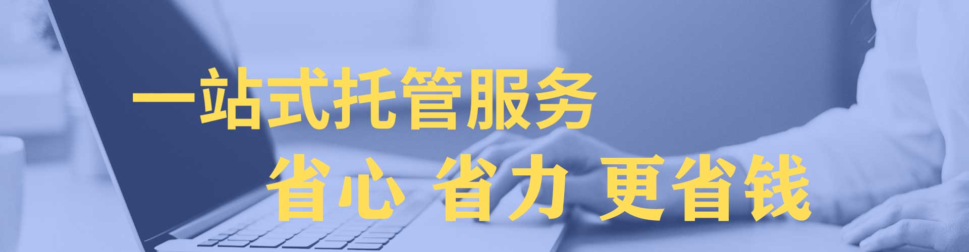 白杨百度竞价赚钱